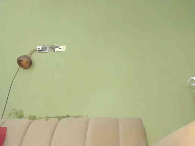 Mspurrfect webcam