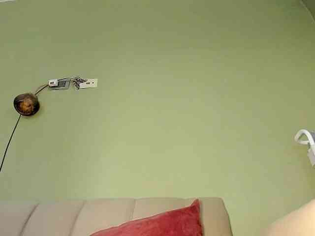 Mspurrfect webcam
