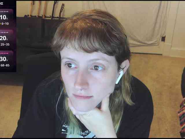 stormythunder webcam