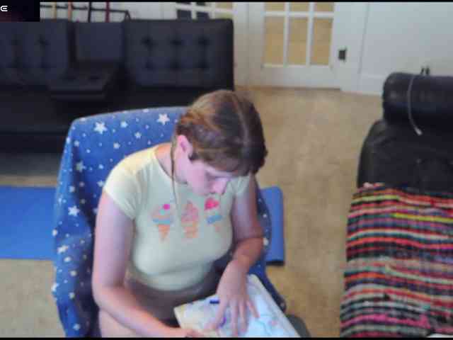 stormythunder webcam