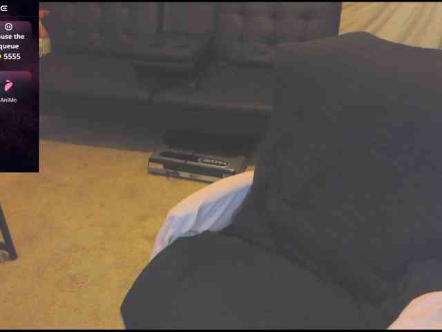 stormythunder webcam