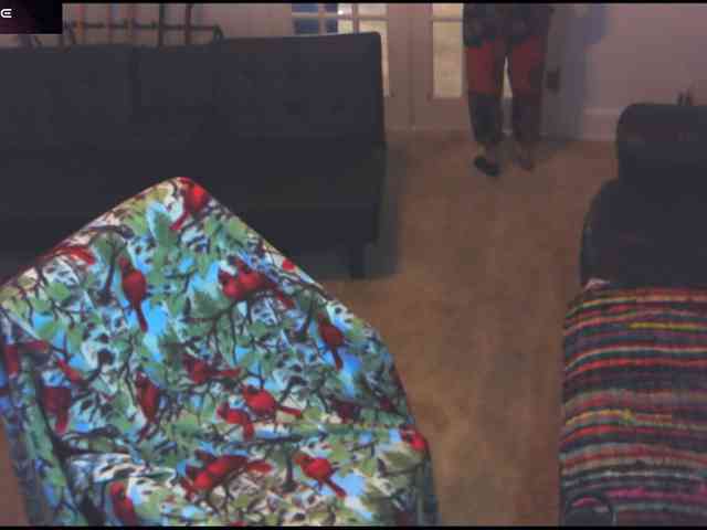 stormythunder webcam