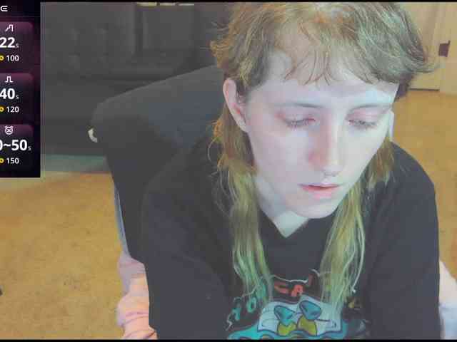 stormythunder webcam