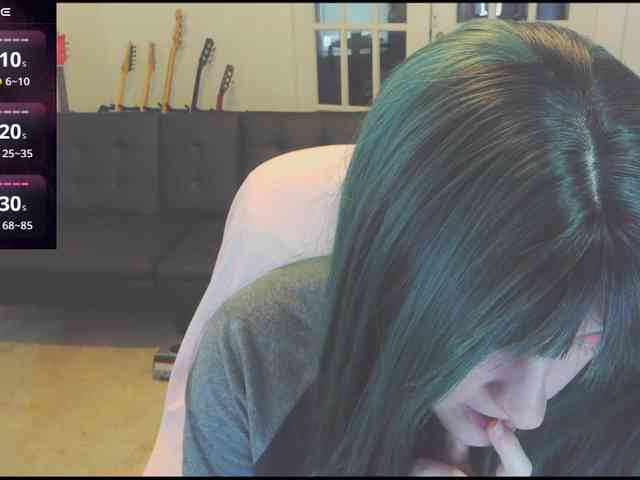 stormythunder webcam
