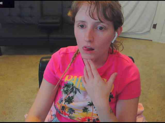 stormythunder webcam
