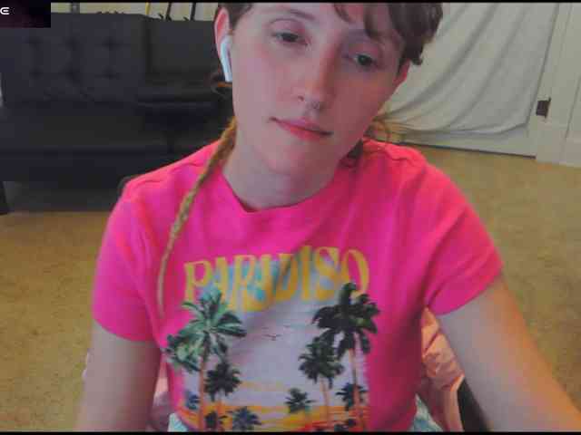 stormythunder webcam