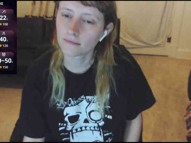 stormythunder webcam