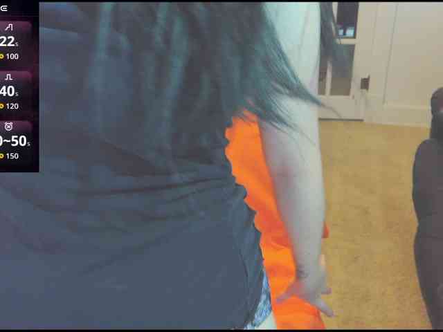stormythunder webcam