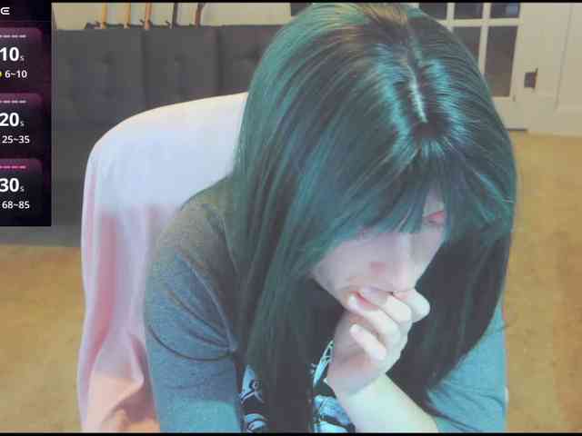 stormythunder webcam