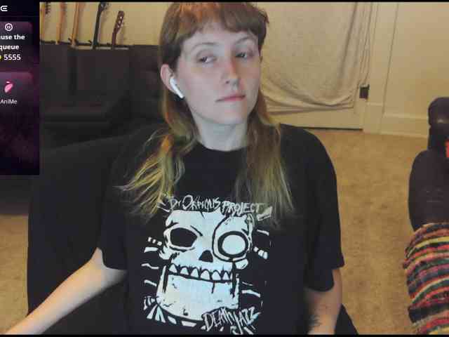 stormythunder webcam