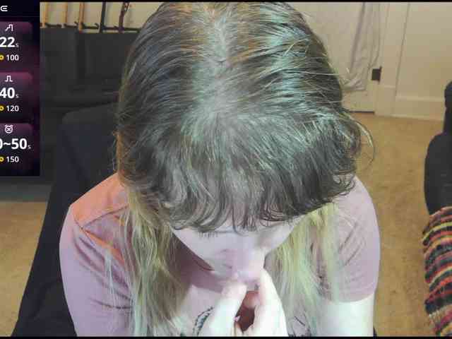 stormythunder webcam