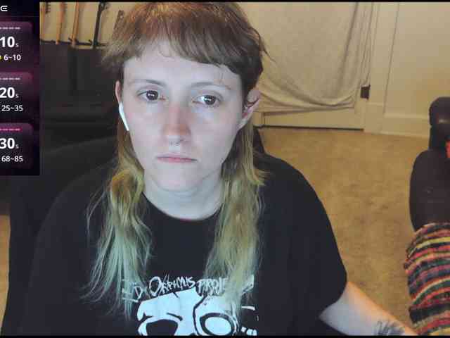 stormythunder webcam