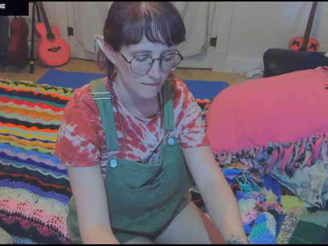 stormythunder webcam