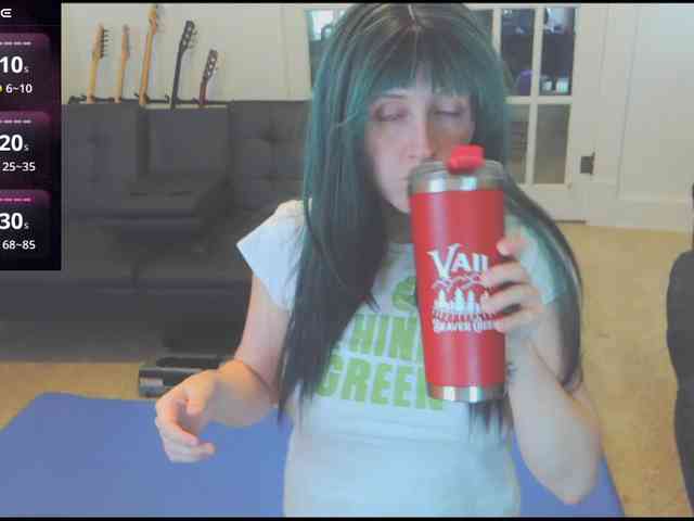 stormythunder webcam