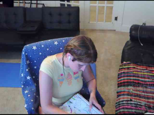 stormythunder webcam