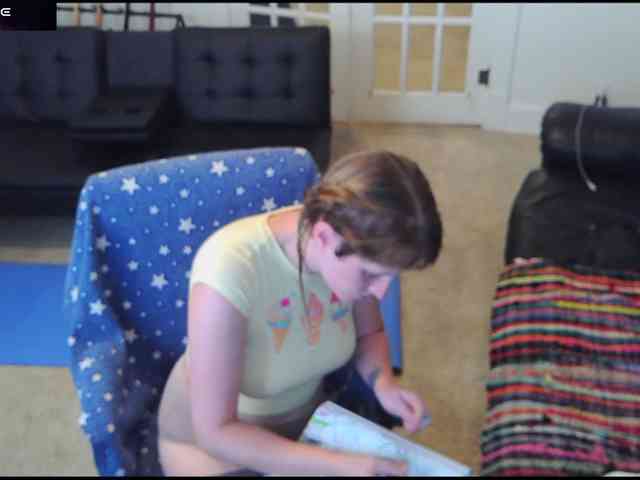 stormythunder webcam