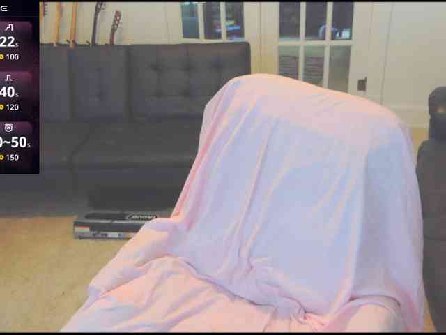 stormythunder webcam
