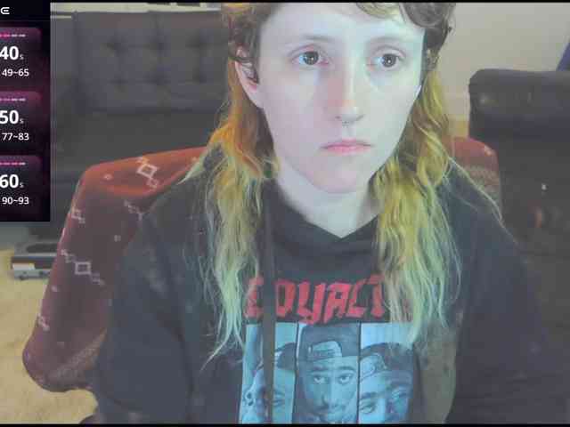 stormythunder webcam