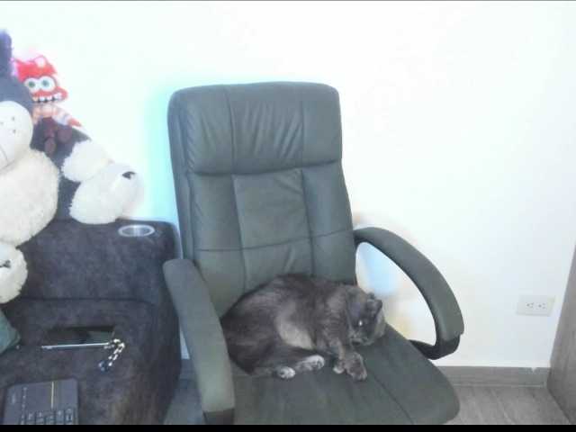 venusxadam live cam on BongaCams