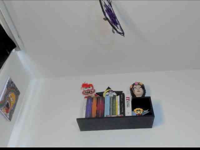dearvenus webcam