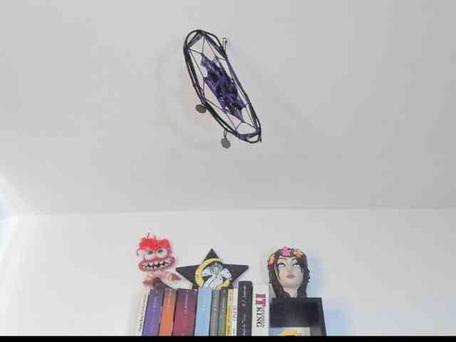 dearvenus webcam