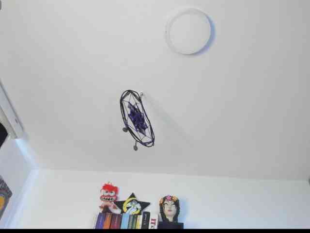 dearvenus webcam