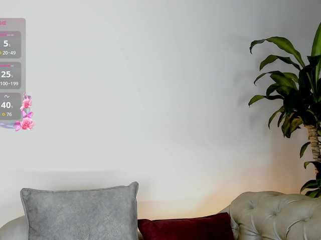 Jentokio webcam