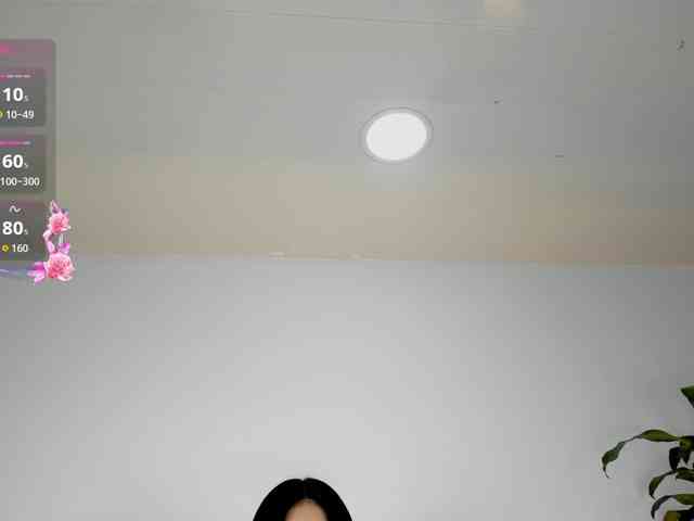 Jentokio webcam