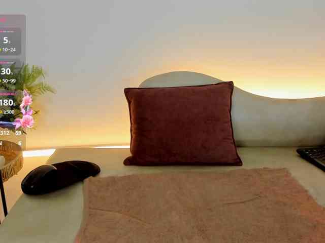 Jentokio webcam