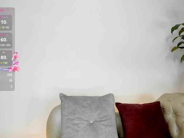 Jentokio webcam