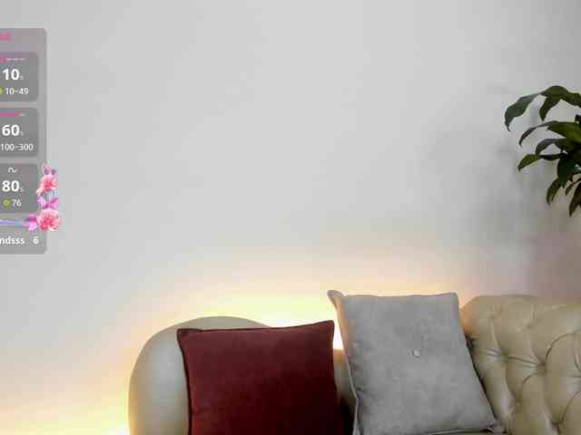 Jentokio webcam