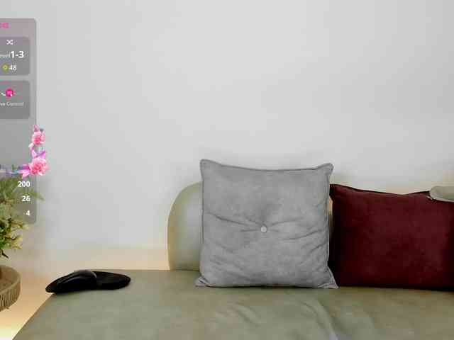 Jentokio webcam