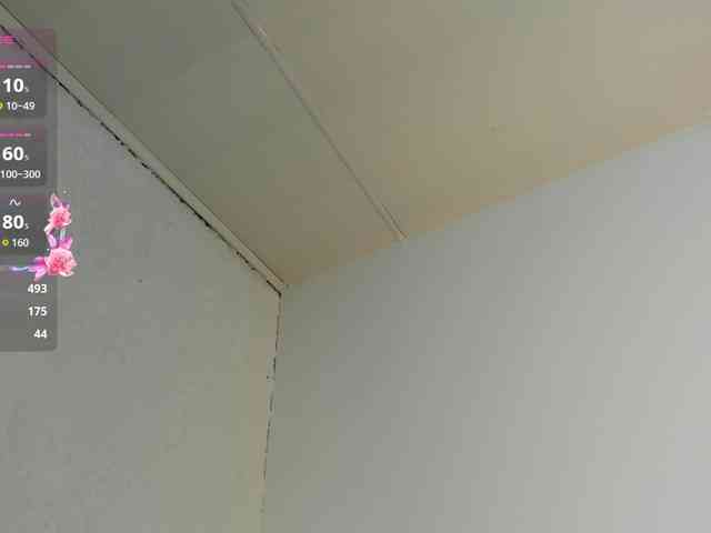 Jentokio webcam