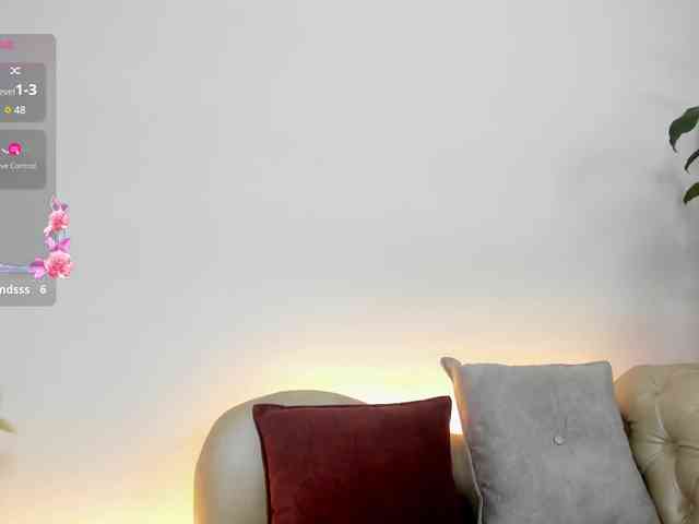 Jentokio webcam