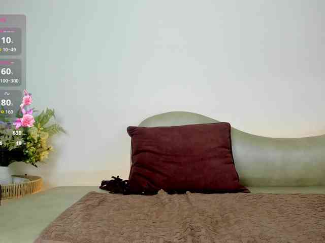 Jentokio webcam