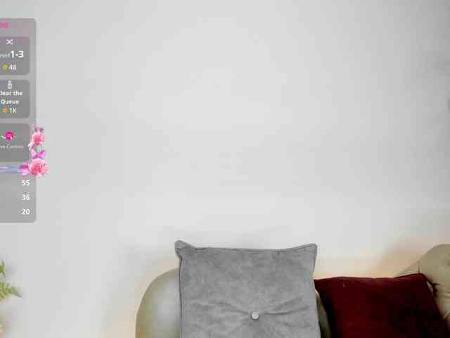 Jentokio webcam