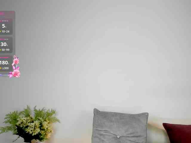 Jentokio webcam