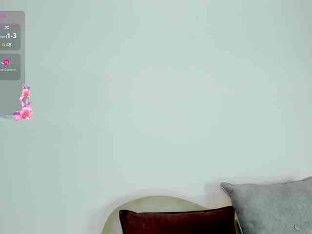 Jentokio webcam