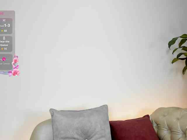 Jentokio webcam