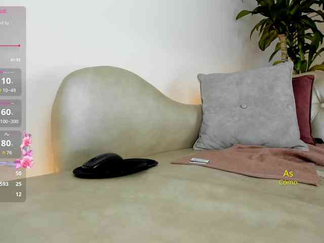 Jentokio webcam
