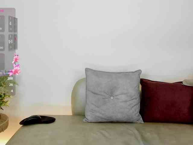 Jentokio webcam