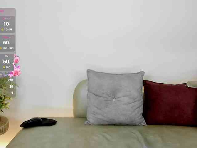 Jentokio webcam