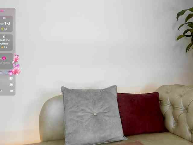 Jentokio webcam