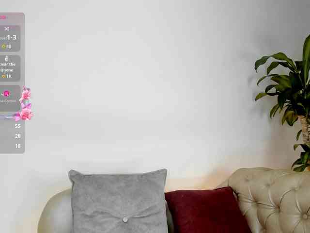 Jentokio webcam