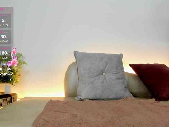 Jentokio webcam