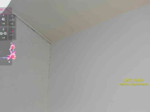 Jentokio webcam