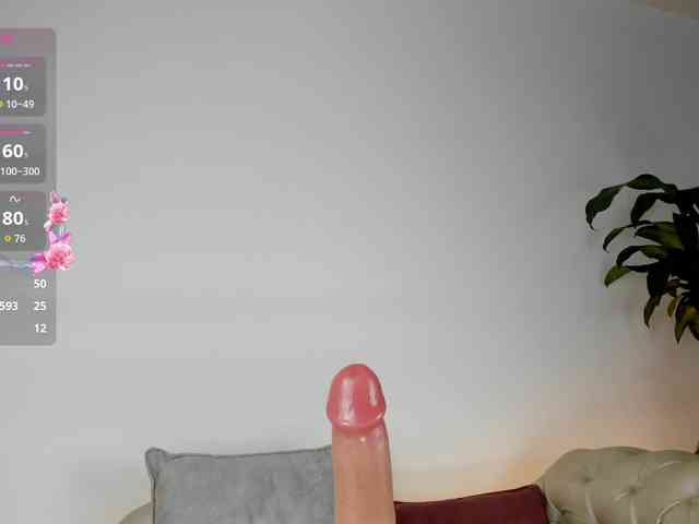 Jentokio webcam