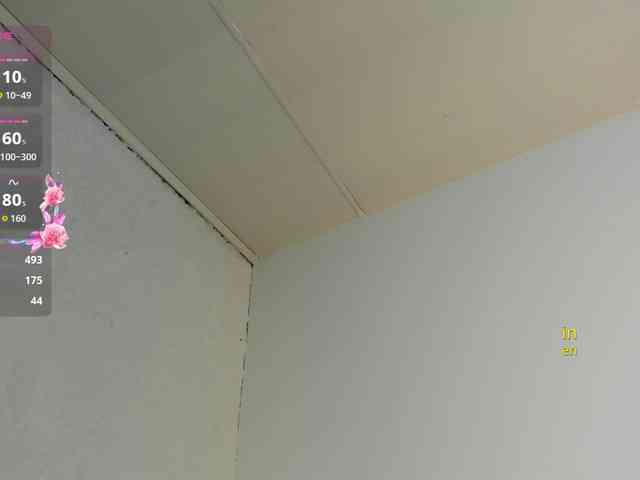 Jentokio webcam