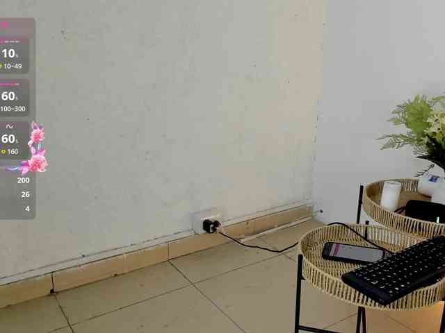 Jentokio webcam