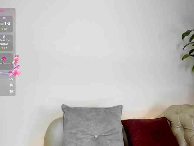 Jentokio webcam